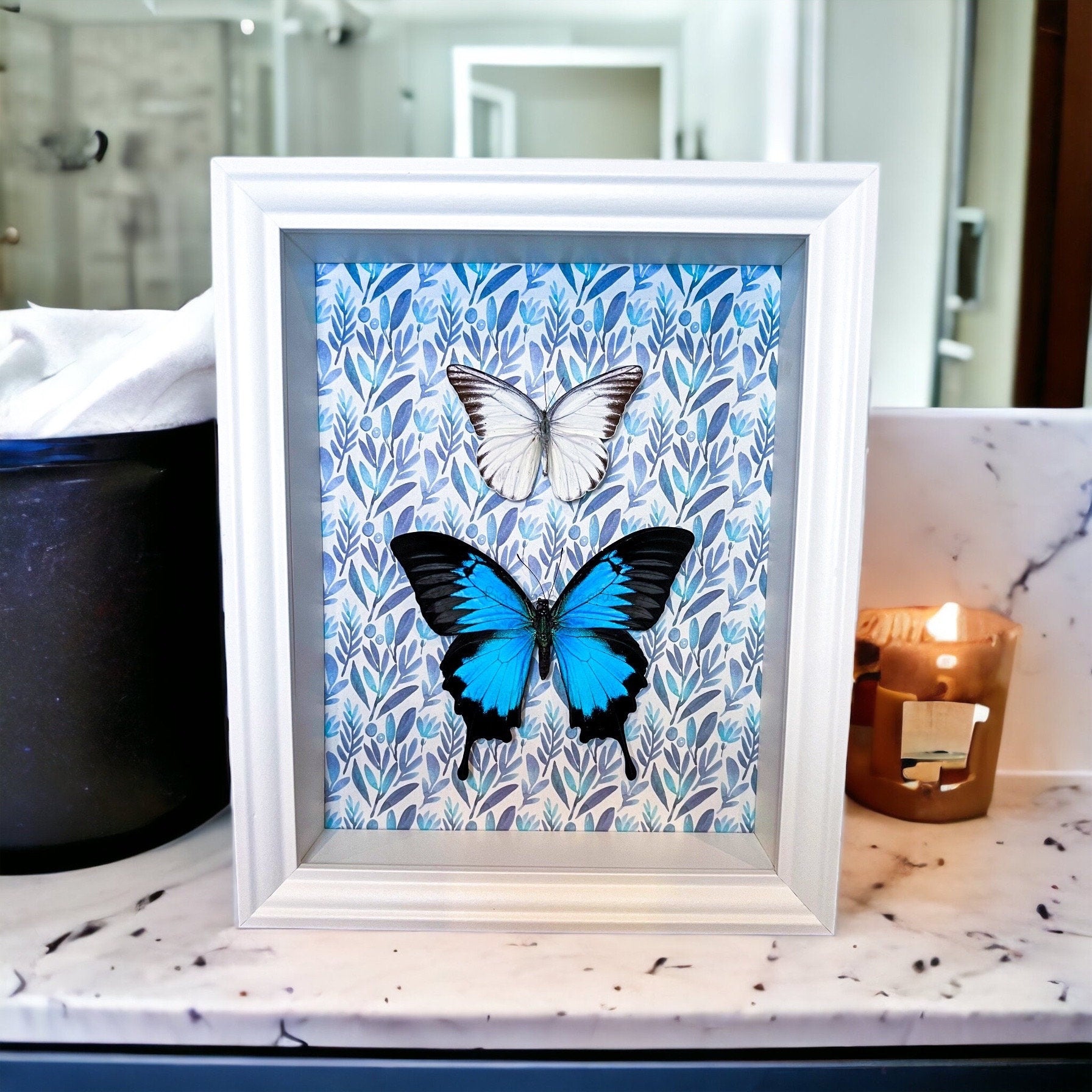 Papilio Ulysses en Appias Hombroni in lijst met print