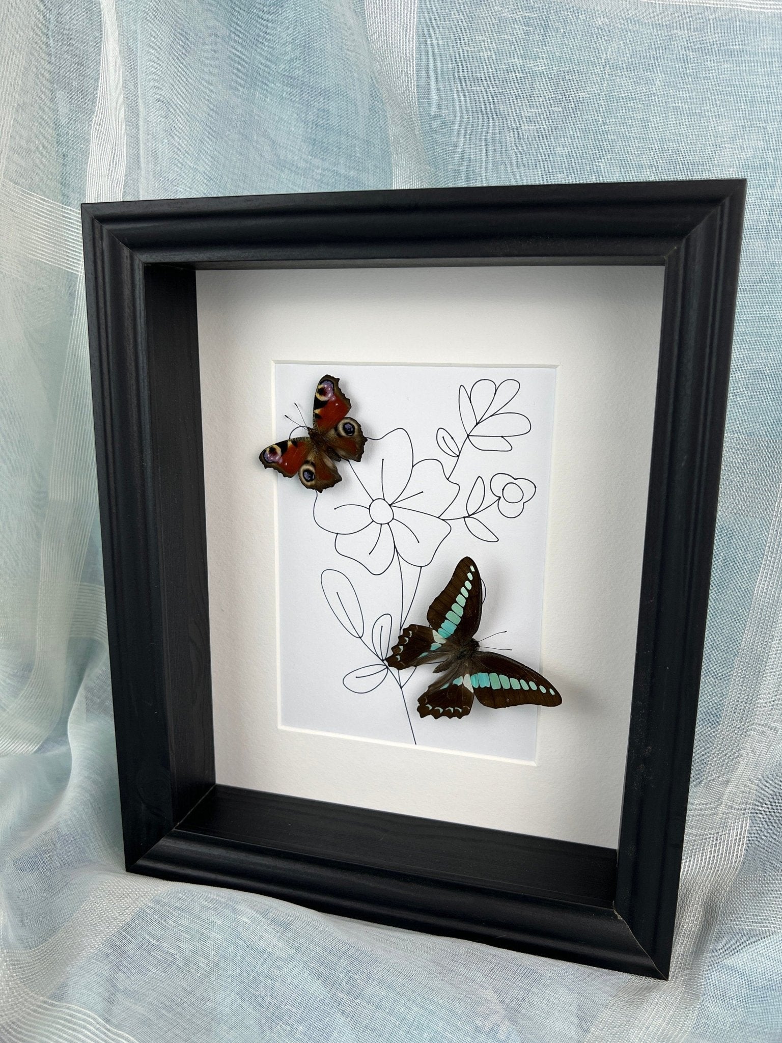 Aglais Io und Graphium Sarpedon in einem Rahmen von KEY LIME STORE