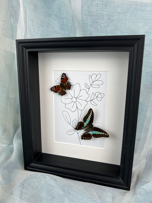 Aglais Io und Graphium Sarpedon in einem Rahmen von KEY LIME STORE