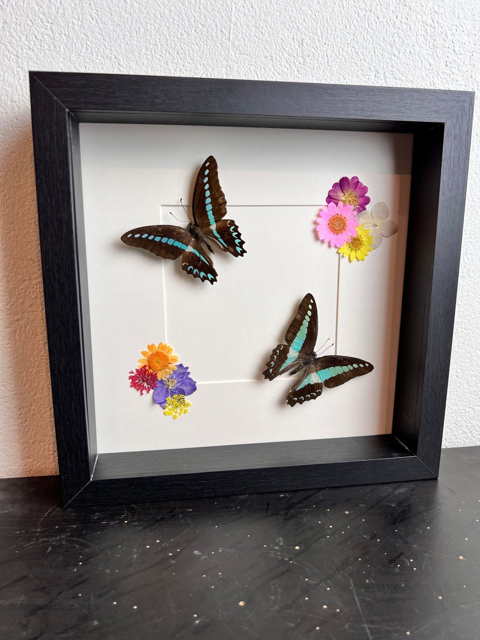 „Graphium Milon“ und „Graphium Sarpedon“ mit Trockenblumen in einem Rahmen von KEY LIME STORE
