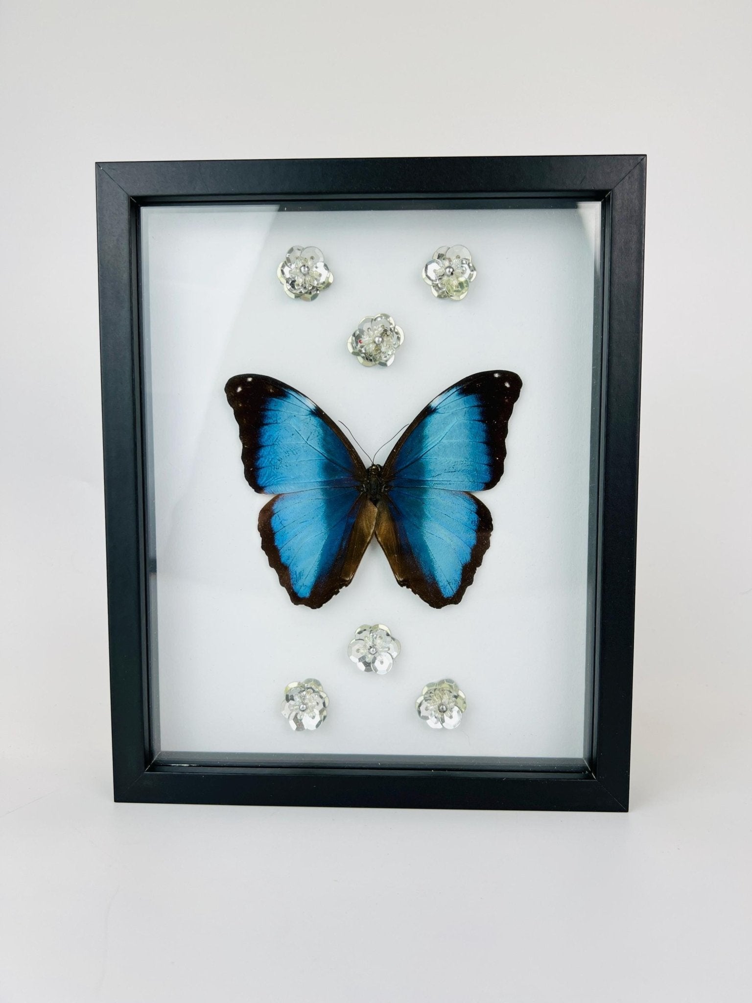 Morpho Deidamia met glitterbloemen in lijst by KEY LIME STORE