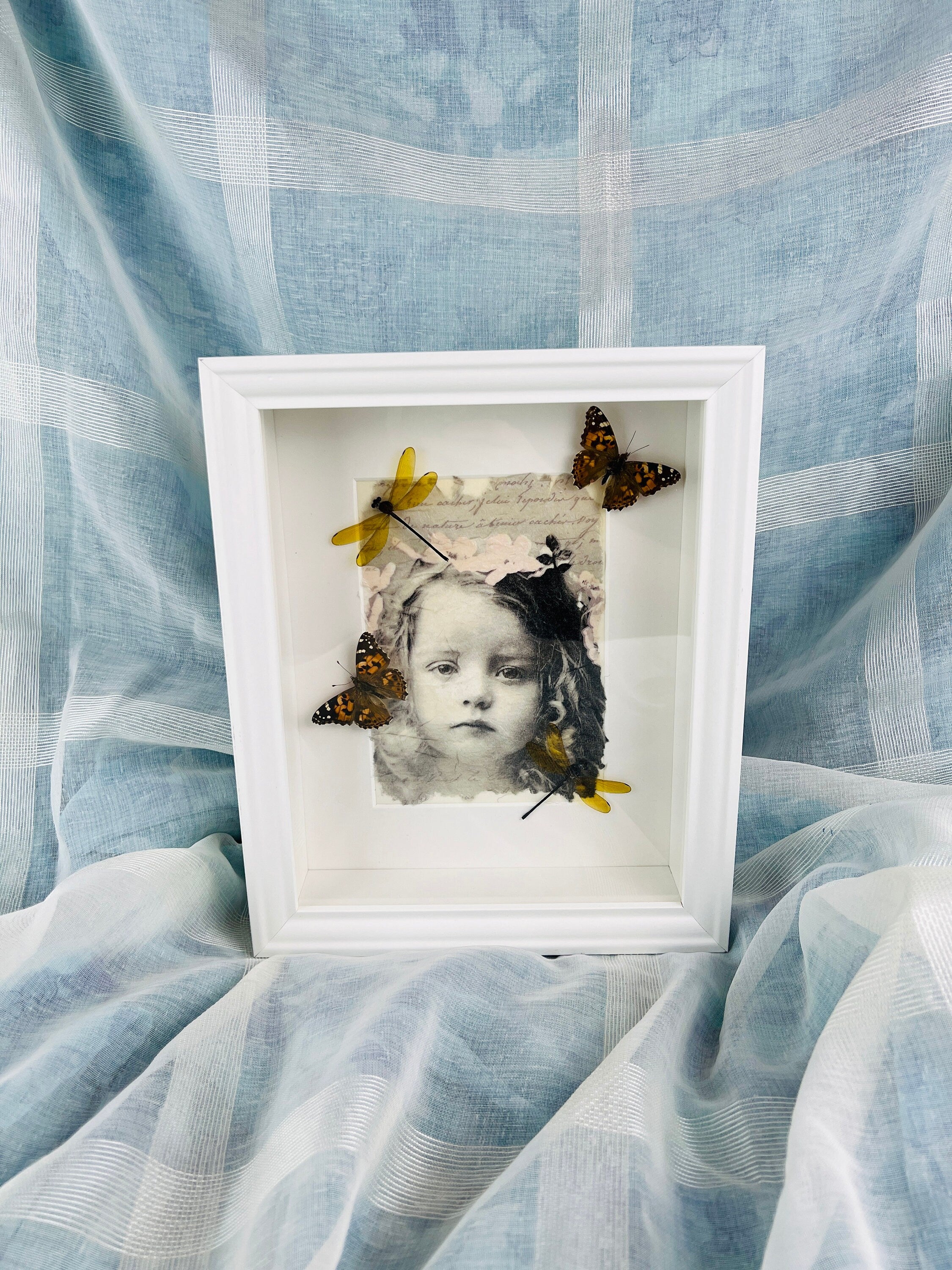 Vanessa Cardui en libelle op print in lijst