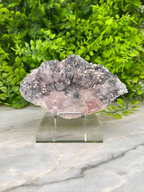 A clear glass display case containing a piece of pink crystal with a speckled surface, set against a backdrop of lush green foliage.
