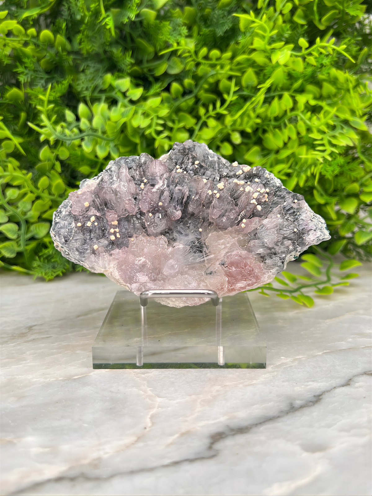 A clear glass display case containing a piece of pink crystal with a speckled surface, set against a backdrop of lush green foliage.