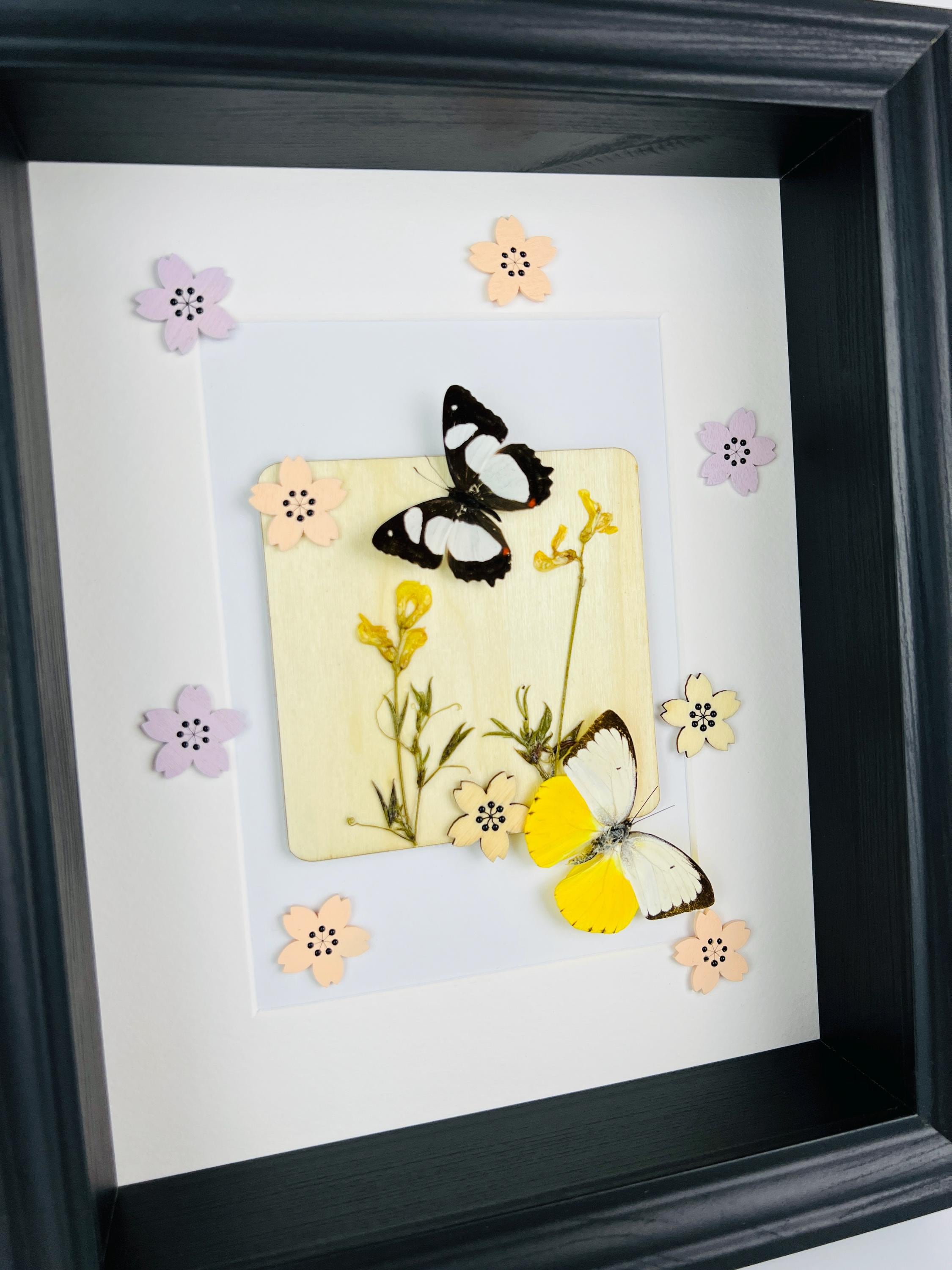 Schmetterlinge mit Trockenblumen und Dekoration im Rahmen