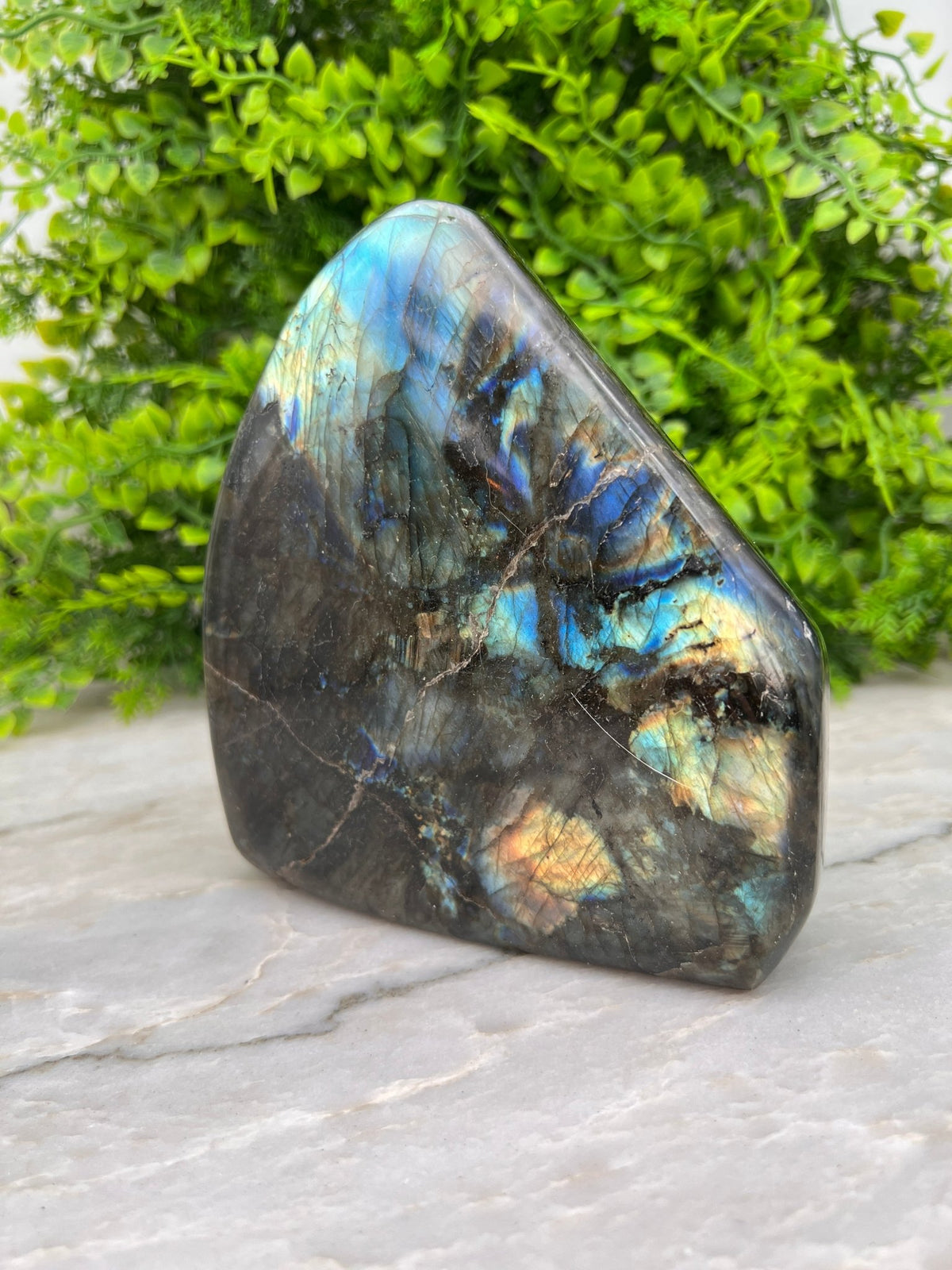 Labradoriet sculptuur by KEY LIME STORE