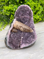 Amethist met Kwartskristal cut base - zeldzaam by KEY LIME STORE