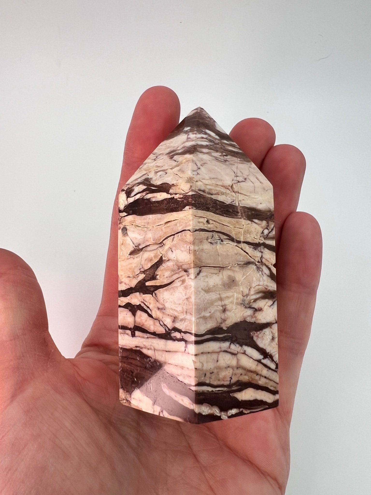 Zebrajaspis toren 0.252 kg by KEY LIME STORE