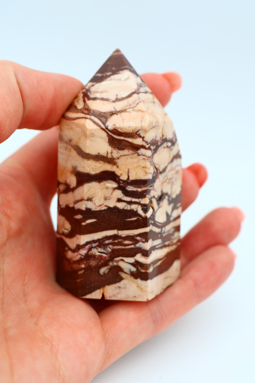 Zebra Jaspis 0.165 kg