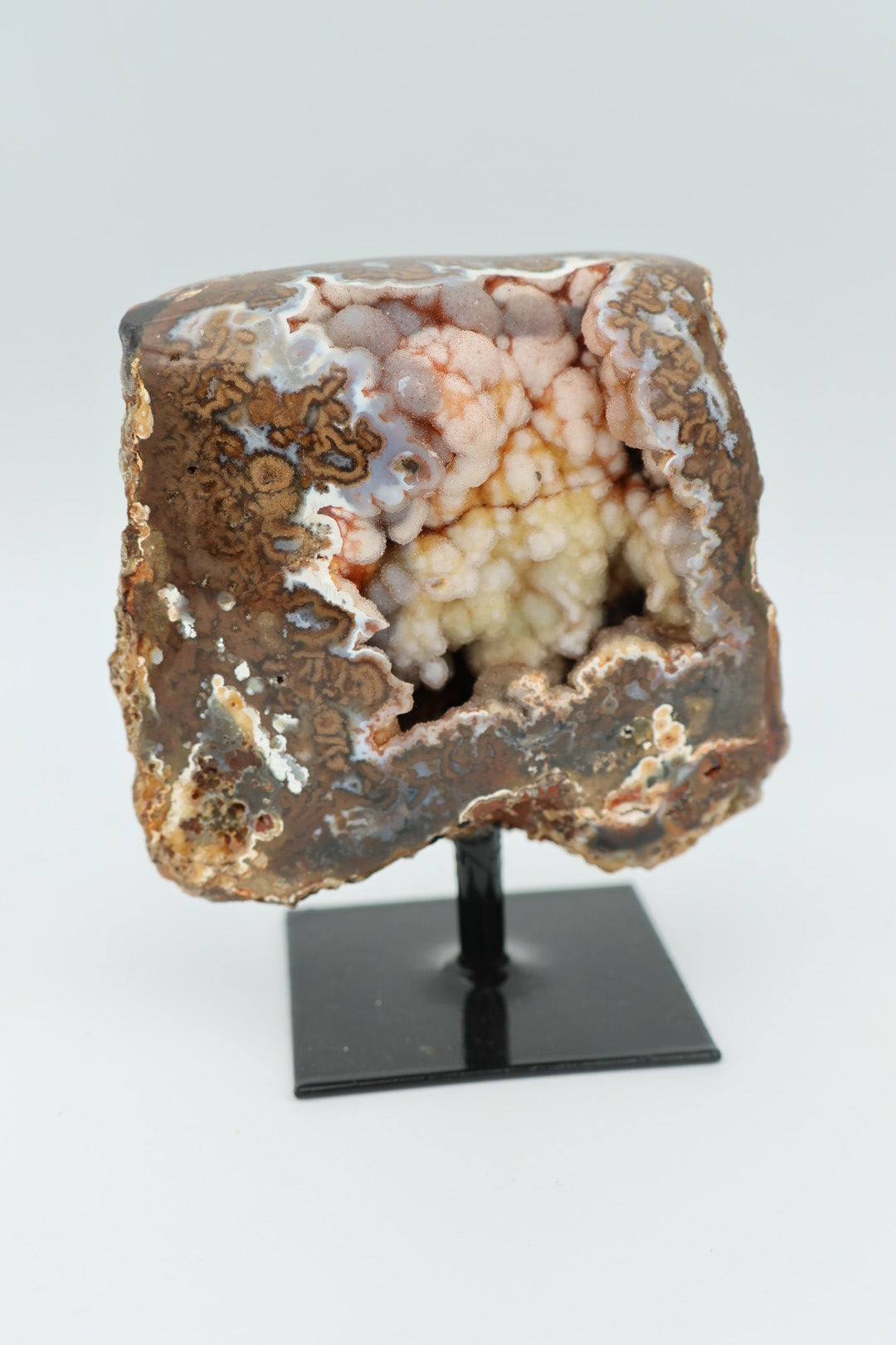 Rotsagaat op standaard 0.247 kg