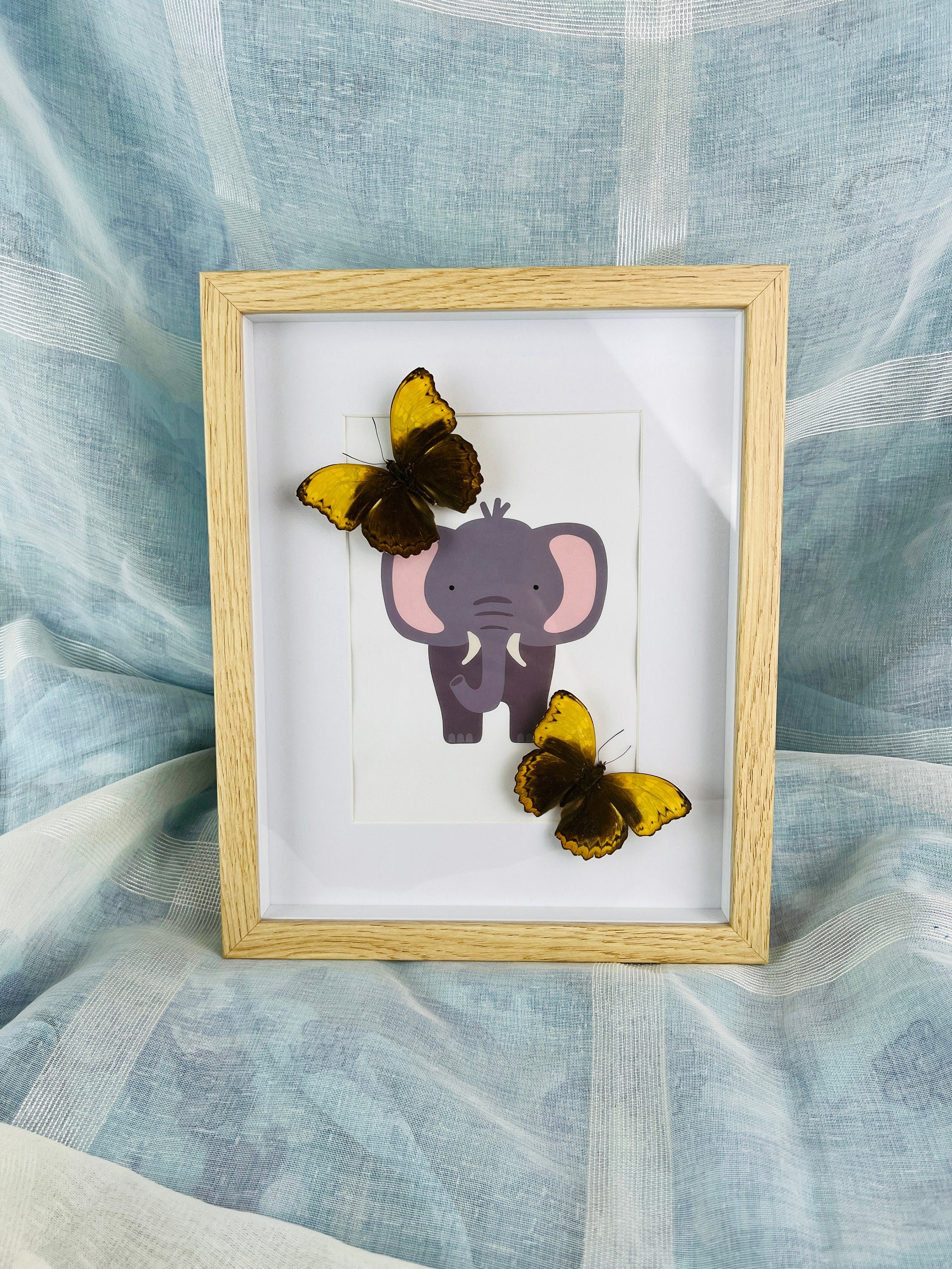 Cymothoe Haynac op print in lijst