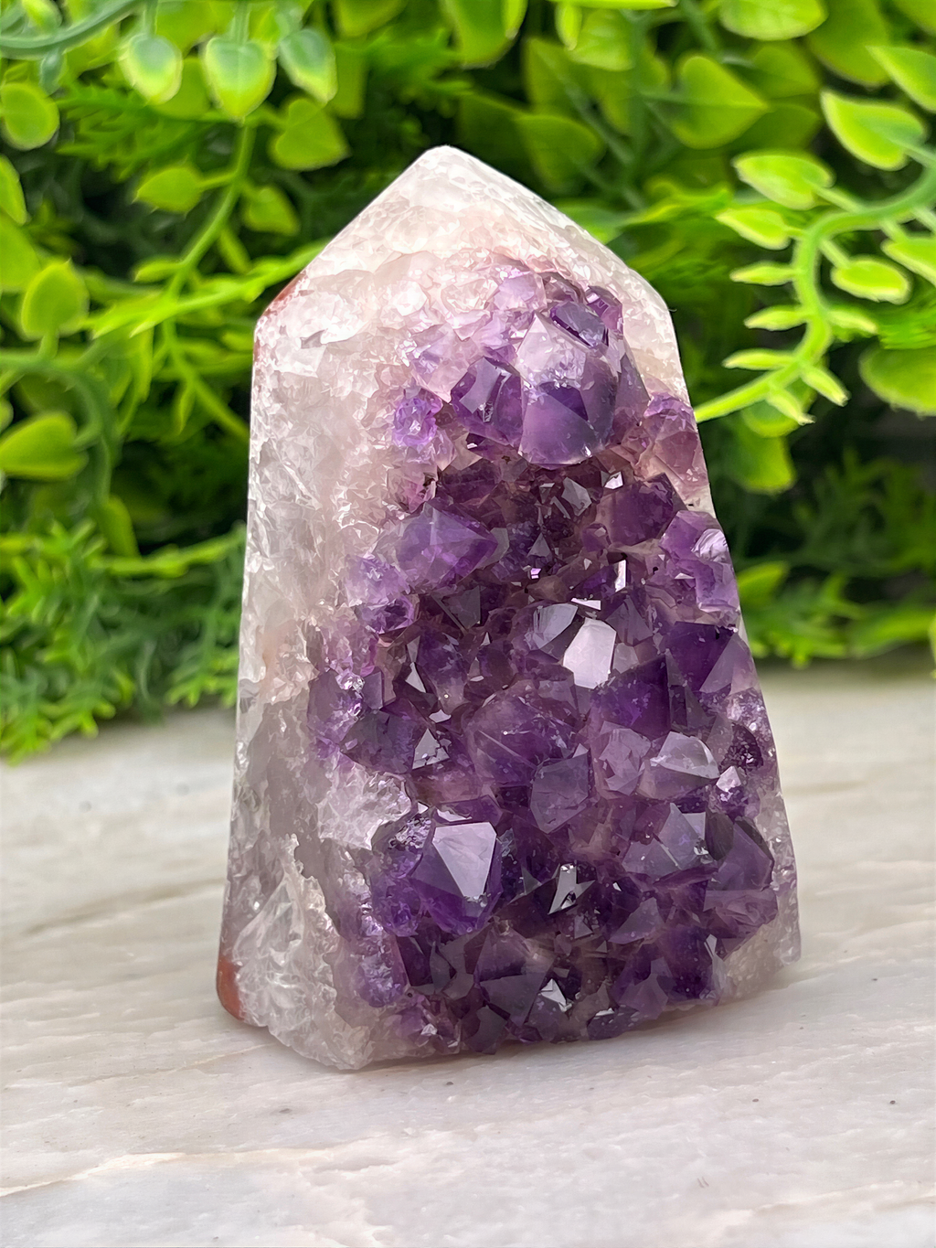 A clear crystal formation with purple crystals is displayed on a white surface, surrounded by green foliage.