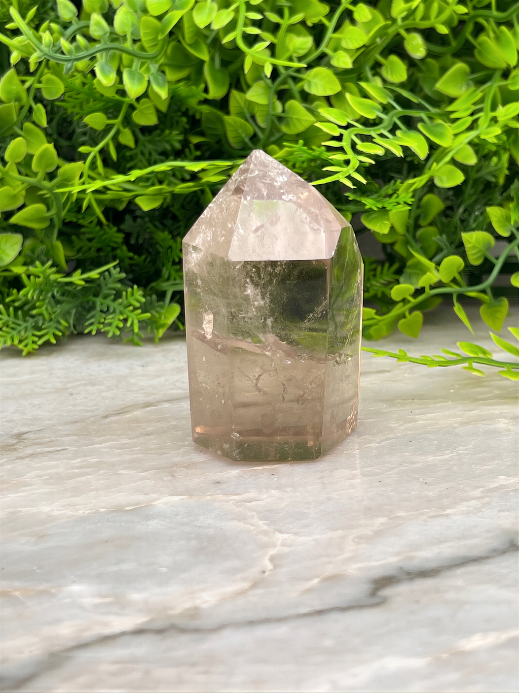 A clear quartz crystal rests on a marble surface, surrounded by lush green foliage.