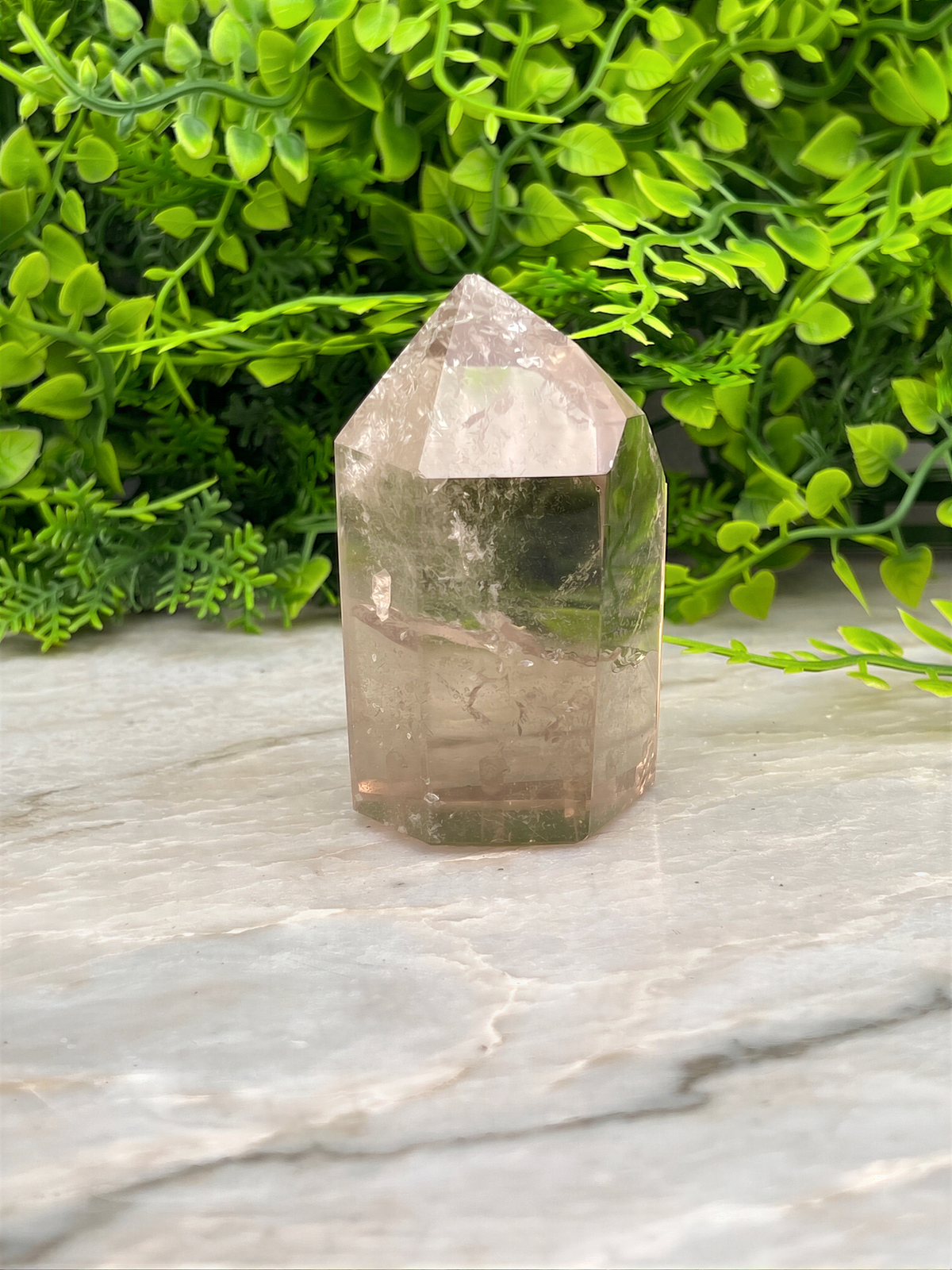 A clear quartz crystal rests on a marble surface, surrounded by lush green foliage.