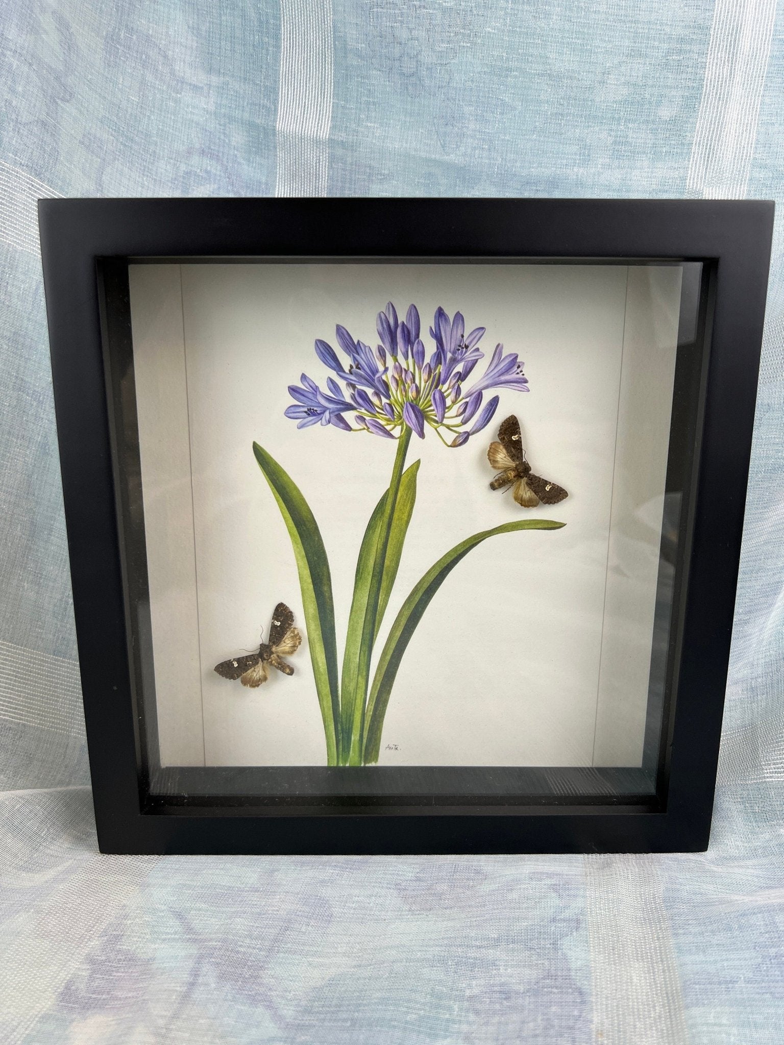 Motjes op print in lijst by KEY LIME STORE