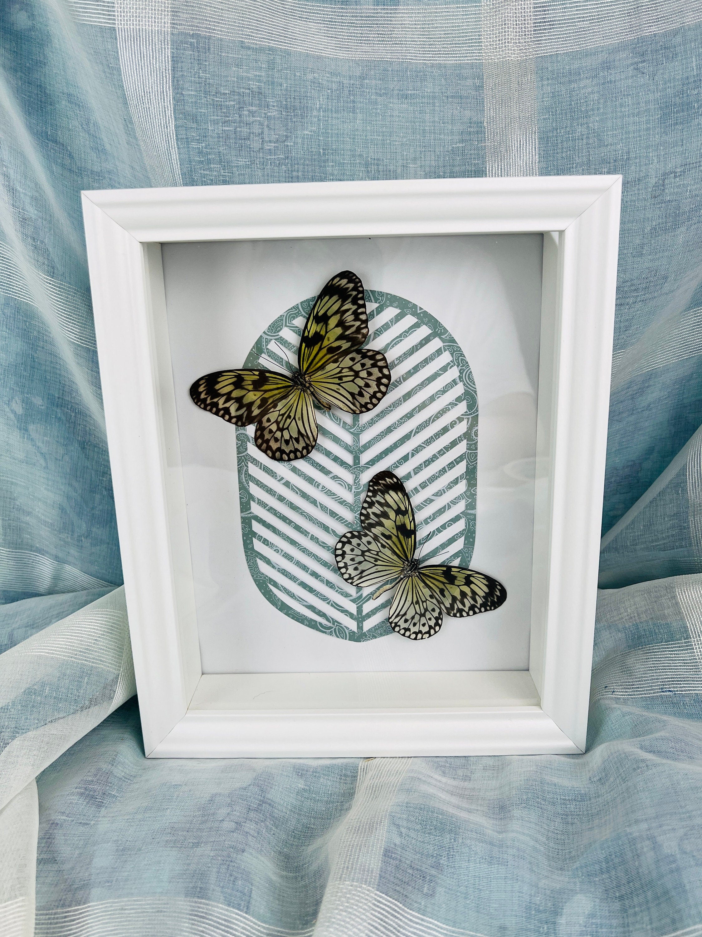 Idea Leuconoe op print in lijst