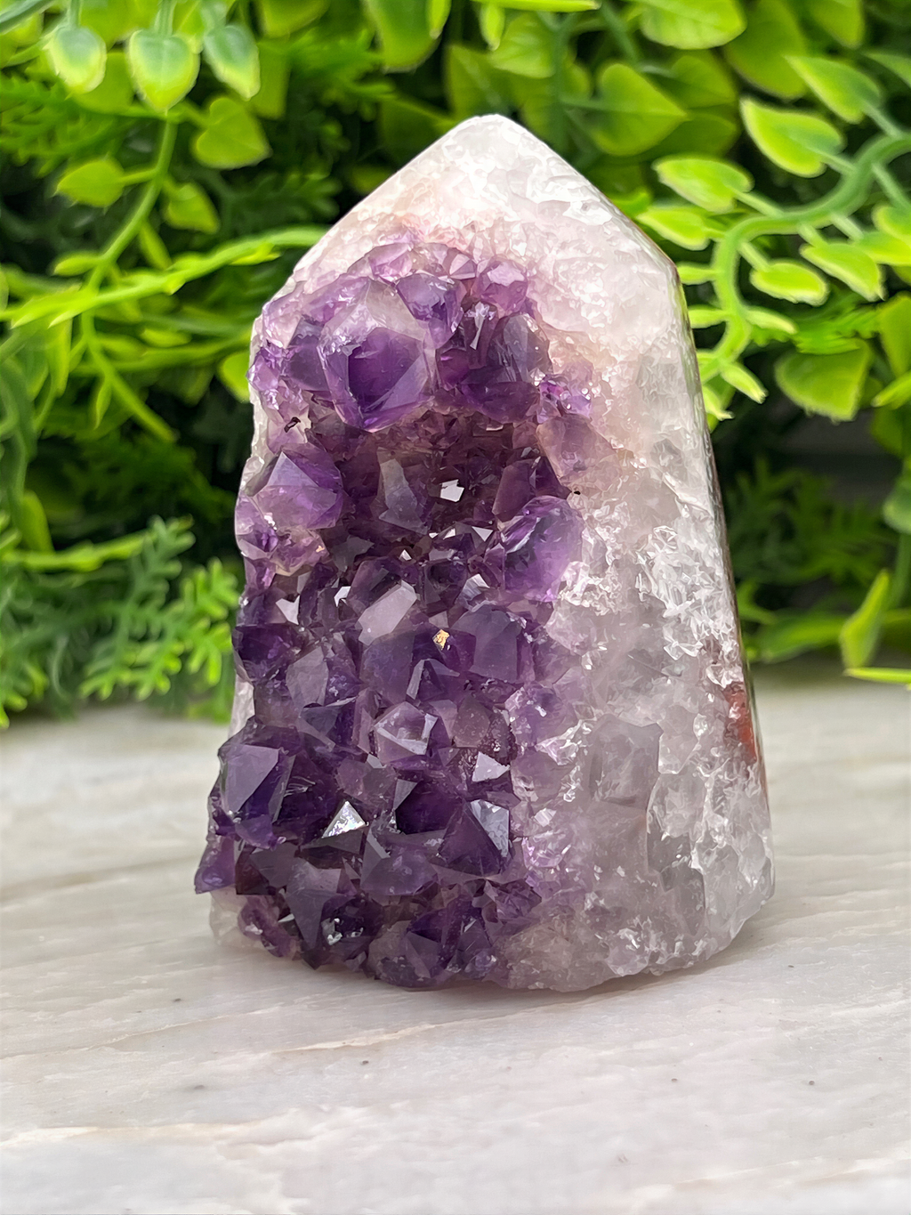 A clear crystal formation with purple crystals is displayed on a white surface, surrounded by green foliage.