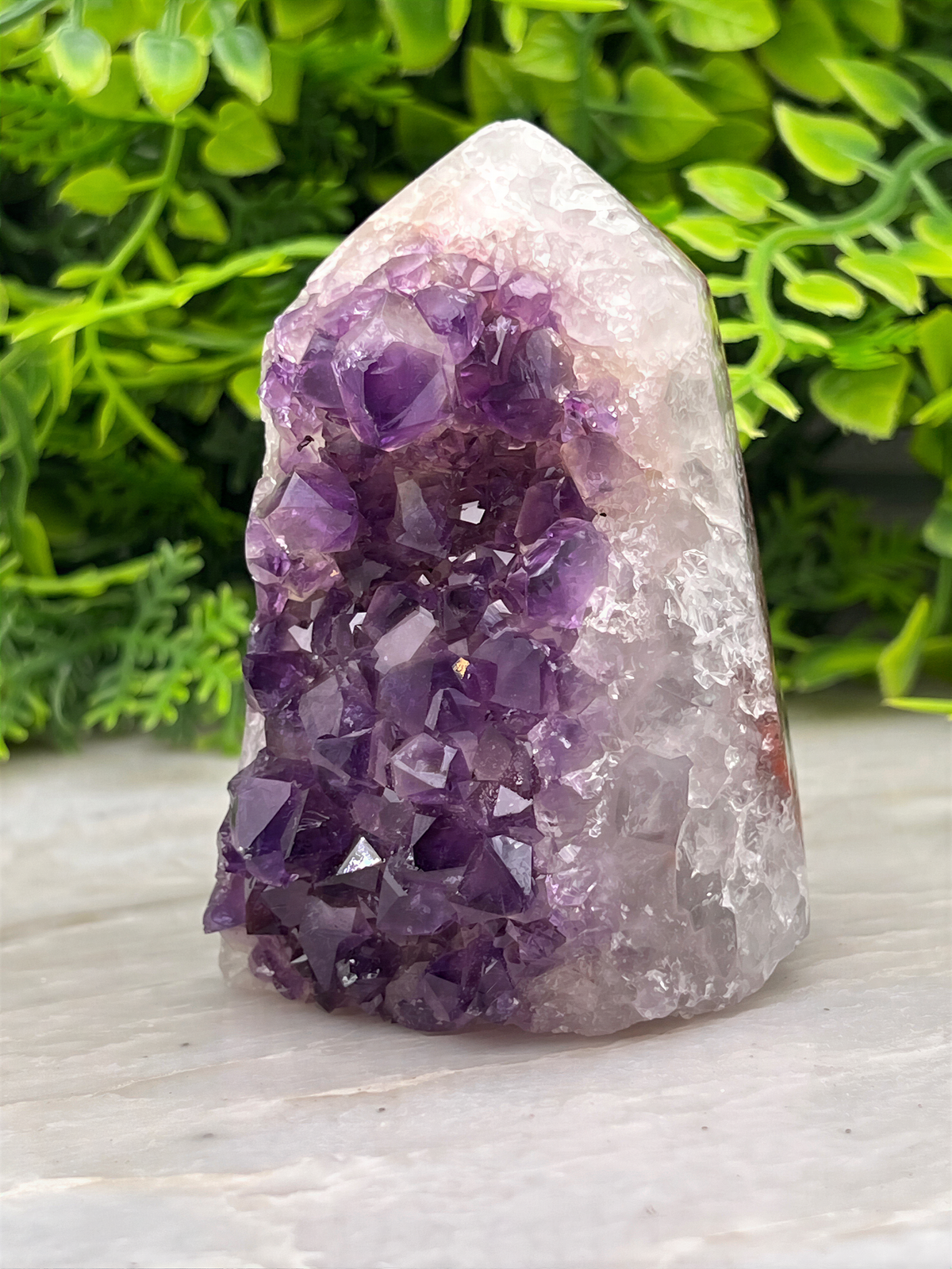 A clear crystal formation with purple crystals is displayed on a white surface, surrounded by green foliage.