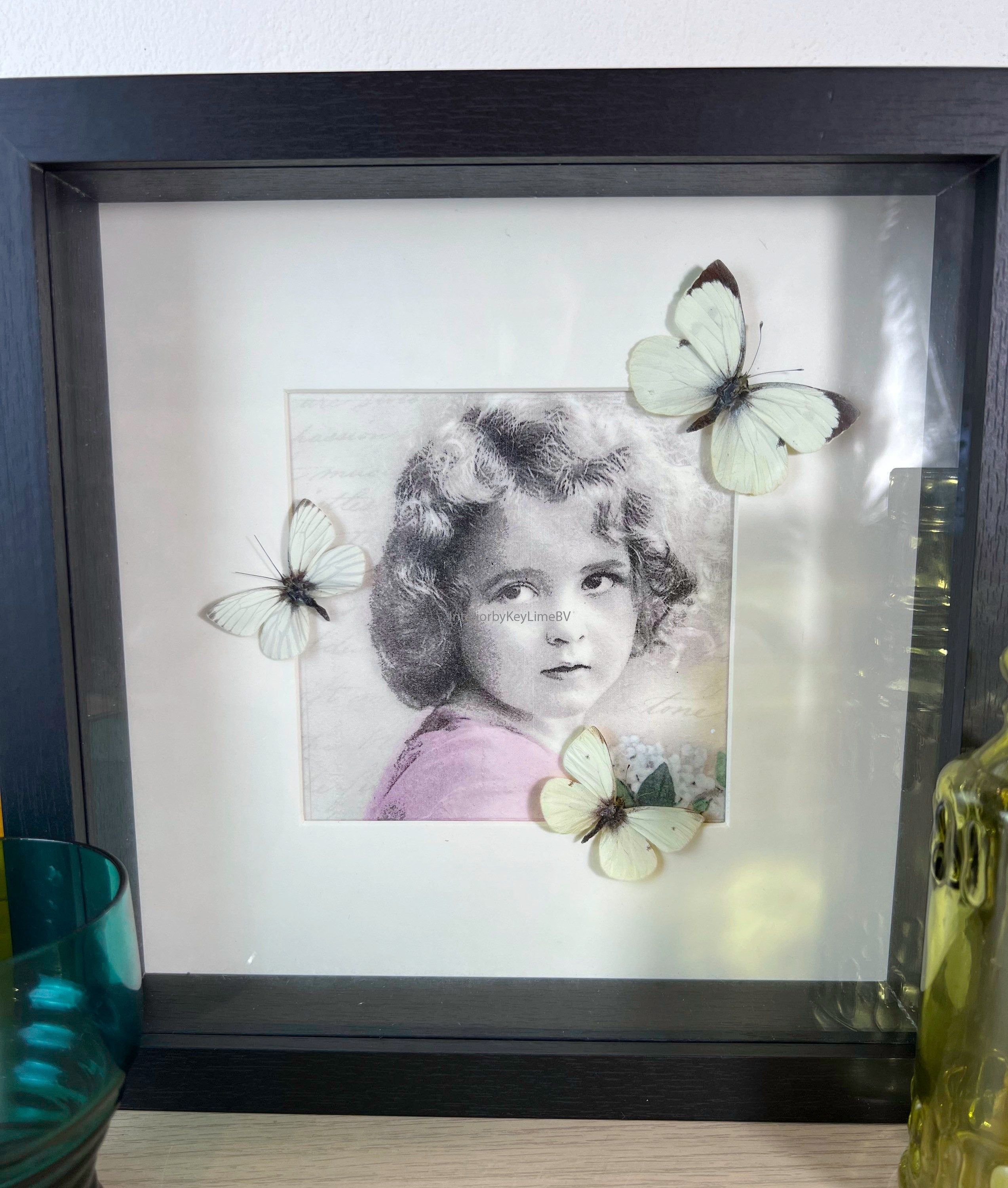 Weiße Schmetterlinge auf Vintage-Druck in einem Rahmen