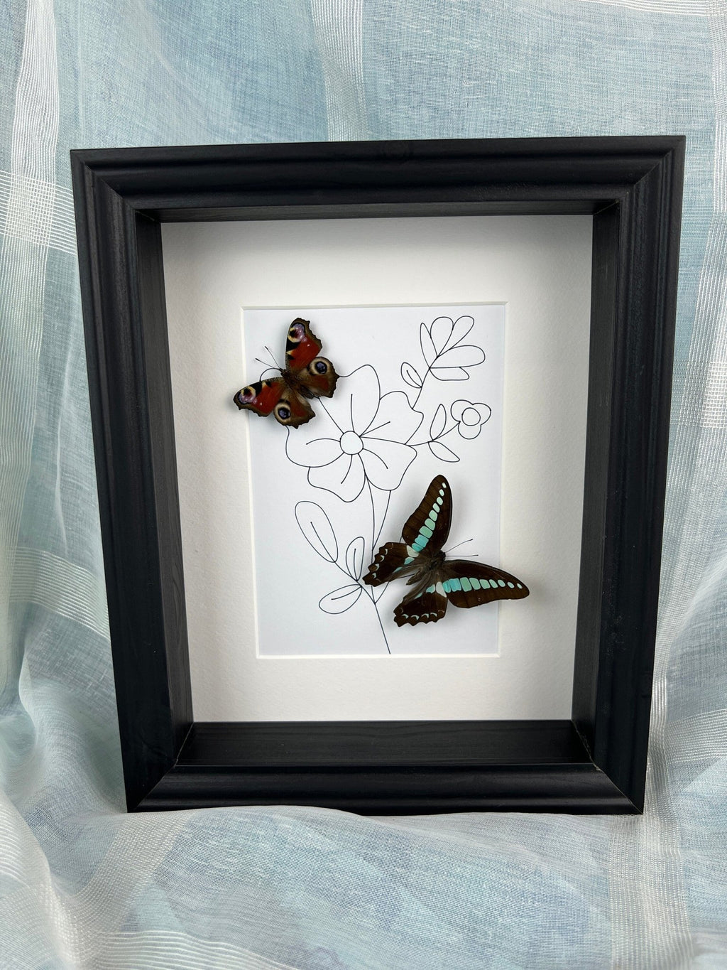 Aglais Io und Graphium Sarpedon in einem Rahmen von KEY LIME STORE