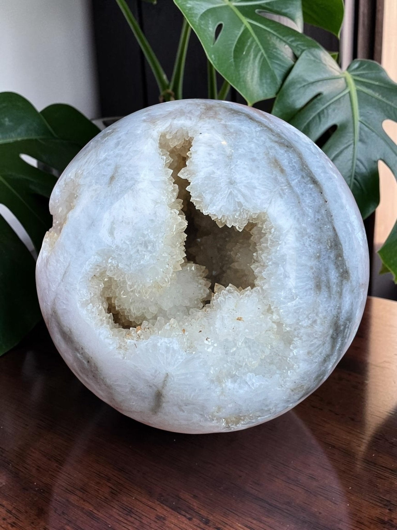 Druze Zebra Jaspis bol by KEY LIME STORE