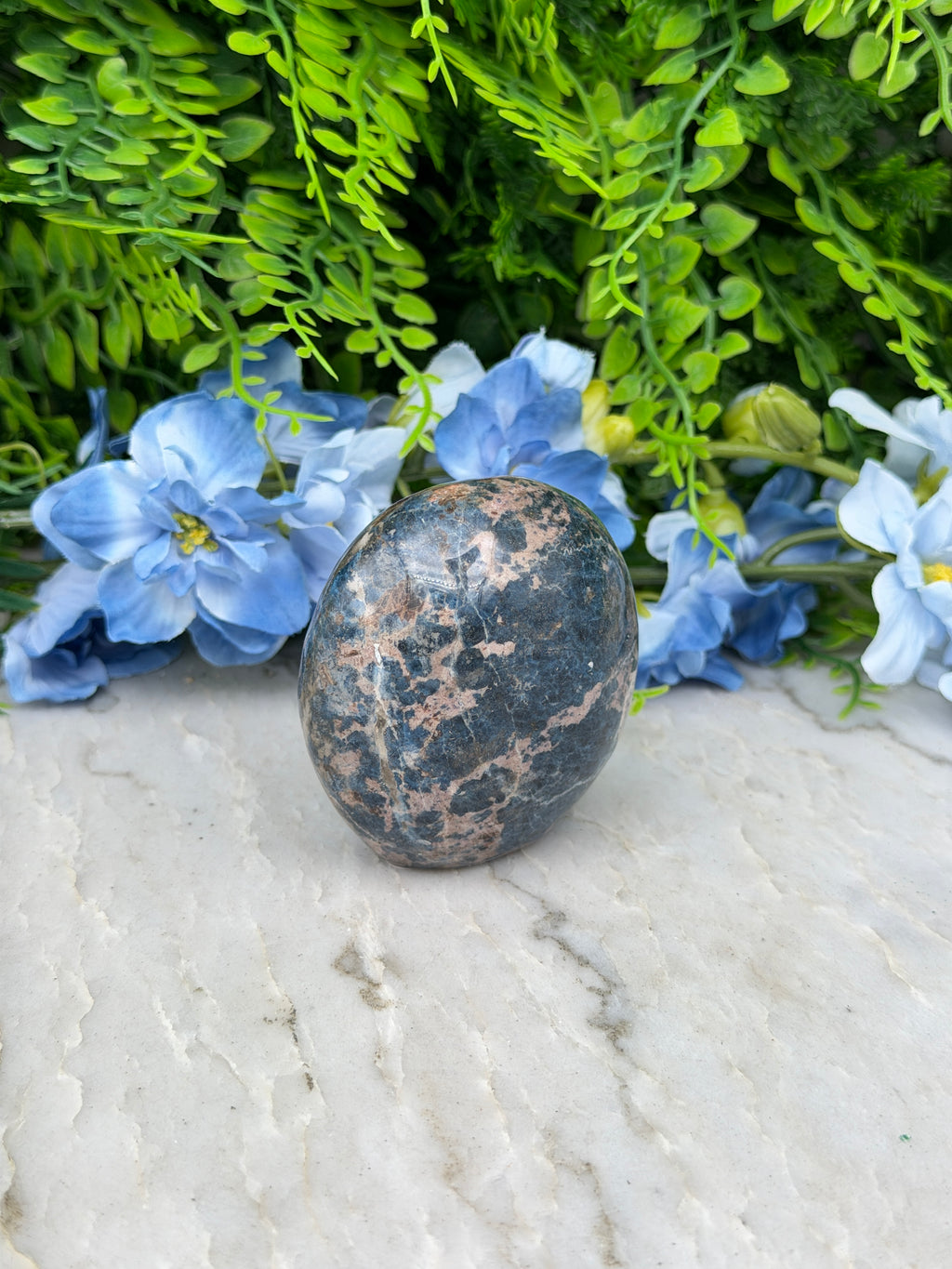 a close-up view of a black and brown speckled rock resting on a white surface, surrounded by vibrant blue flowers.