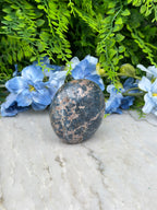 a close-up view of a black and brown speckled rock resting on a white surface, surrounded by vibrant blue flowers.