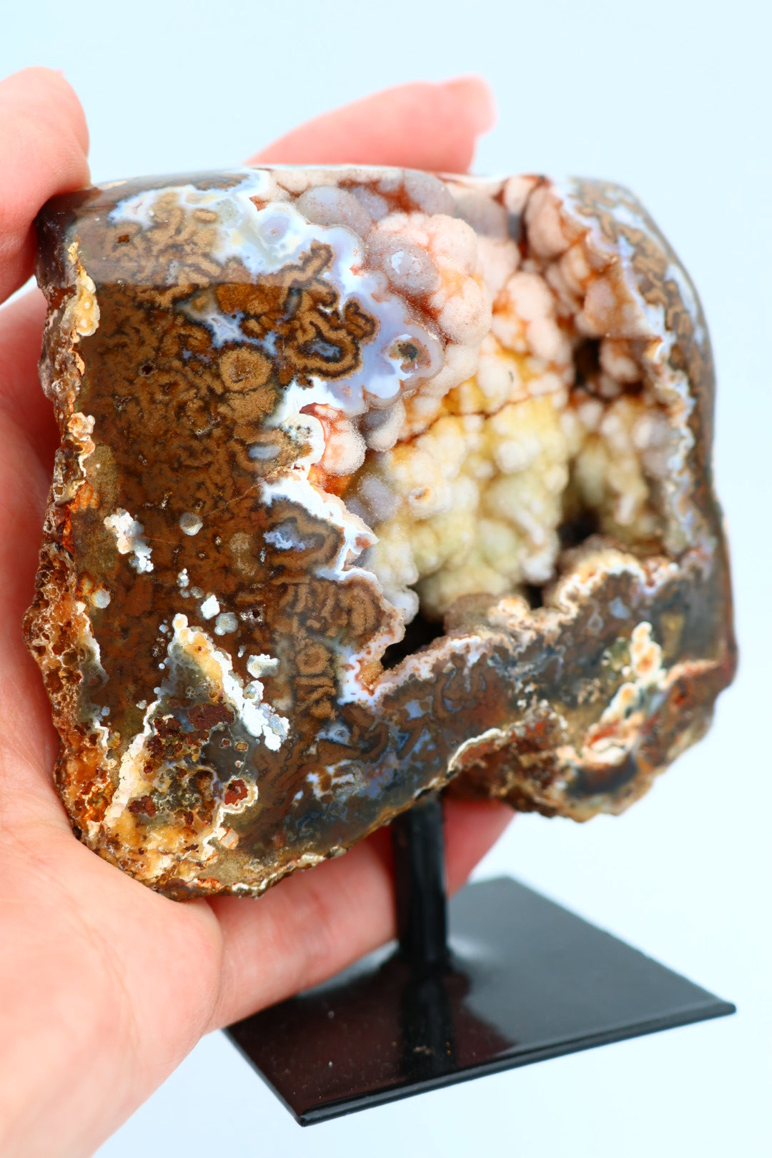 Rotsagaat op standaard 0.247 kg