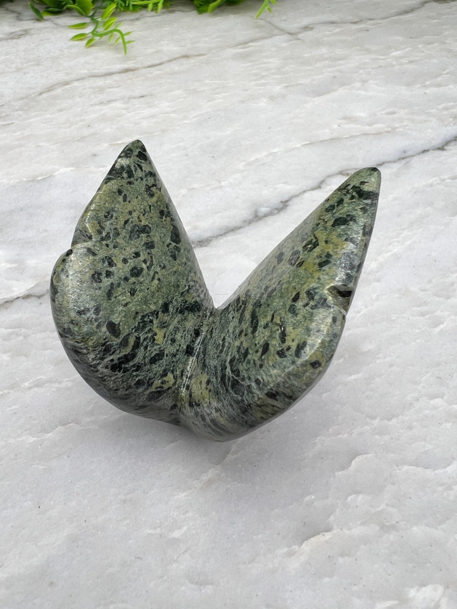 Serpentinen-Schmetterling (5 cm) von KEY LIME STORE
