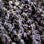 Palo Santo met Lavendel, Sagrada Madre stokje (20g)