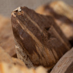 palo santo smudge stick Sagrada Madre Sahumitos (4x4x12cm)