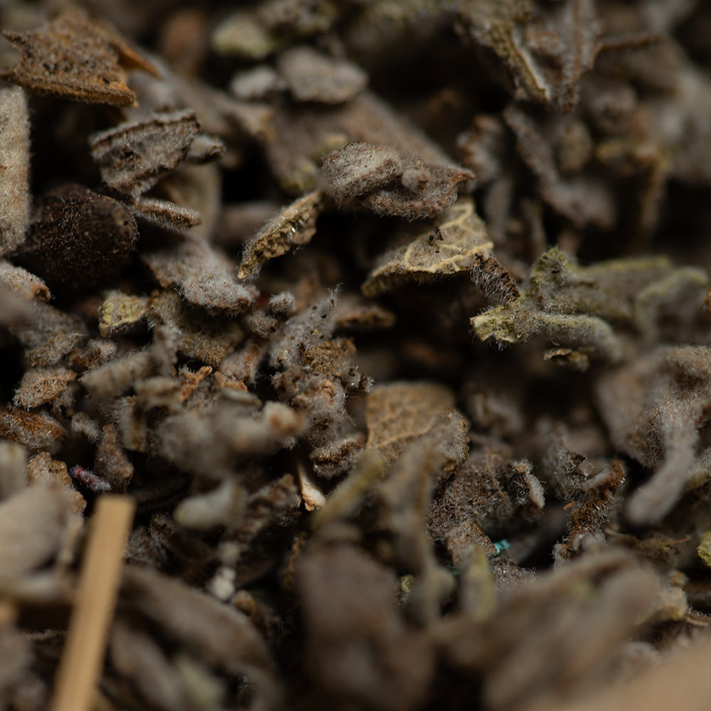 white sage smudge stick Sagrada Madre Sahumitos (4x4x12cm)