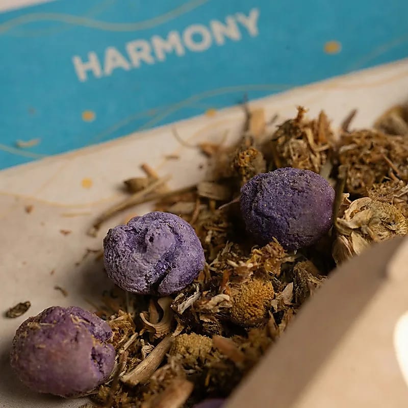 Sagrada Madre Incense Kit, Small, Smudge Harmony (±38g)
