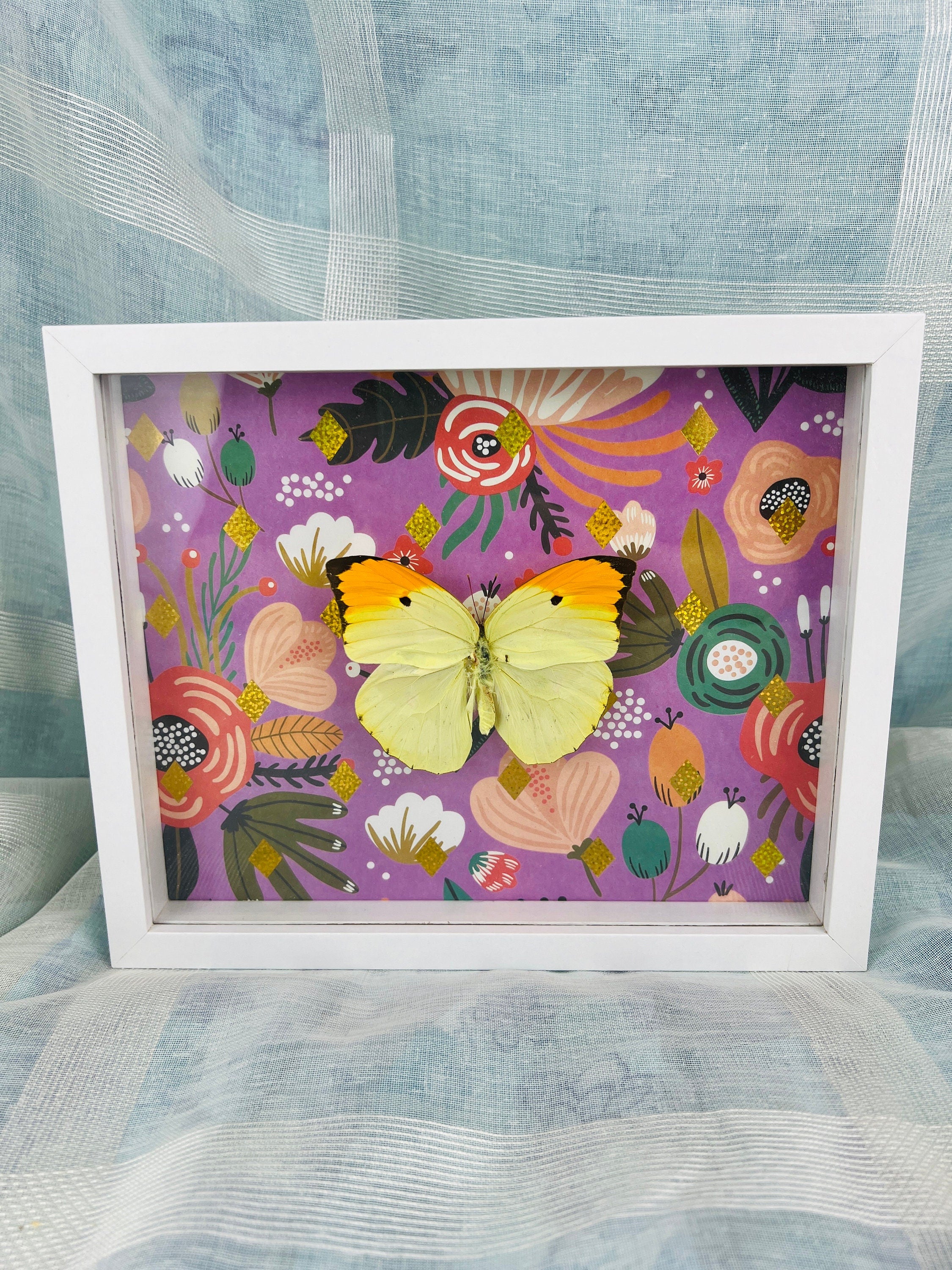 Echte vlinder | Anteos Menippe op print in lijst (23x19cm)