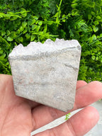Amethist cluster (6 cm) by KEY LIME STORE