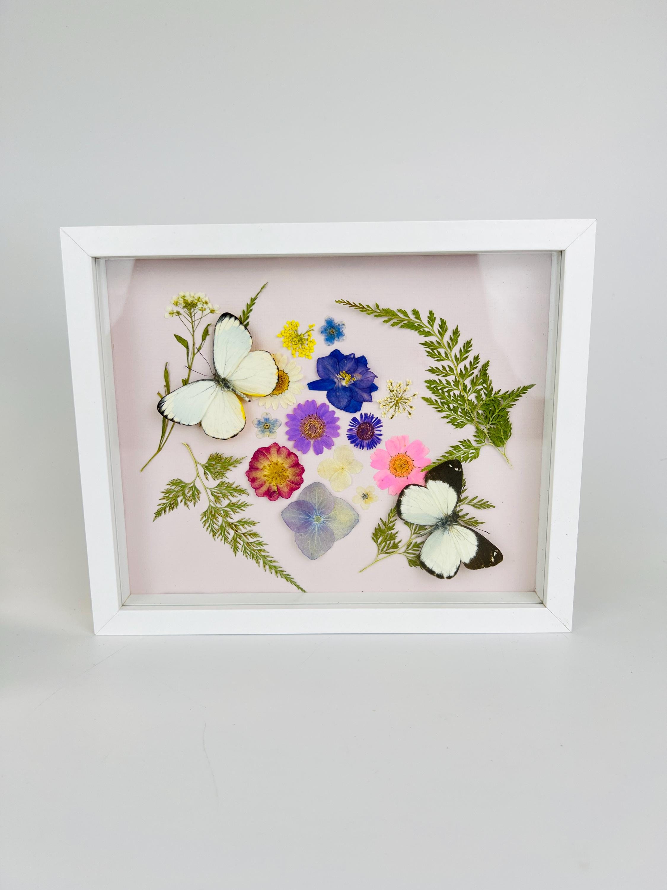 Weiße Schmetterlinge mit Trockenblumen in einem Rahmen