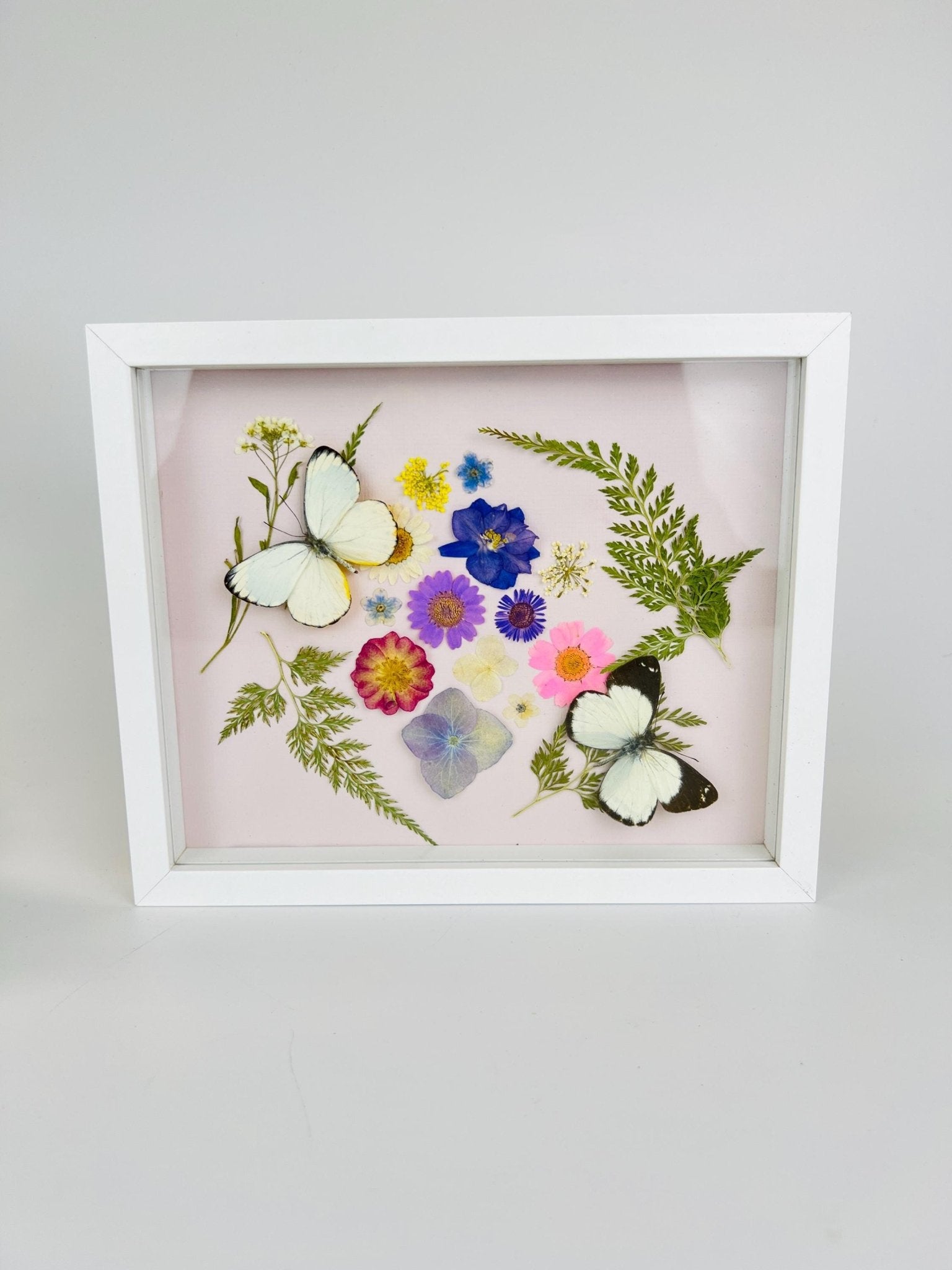 Weiße Schmetterlinge mit Trockenblumen in einem Rahmen von KEY LIME STORE
