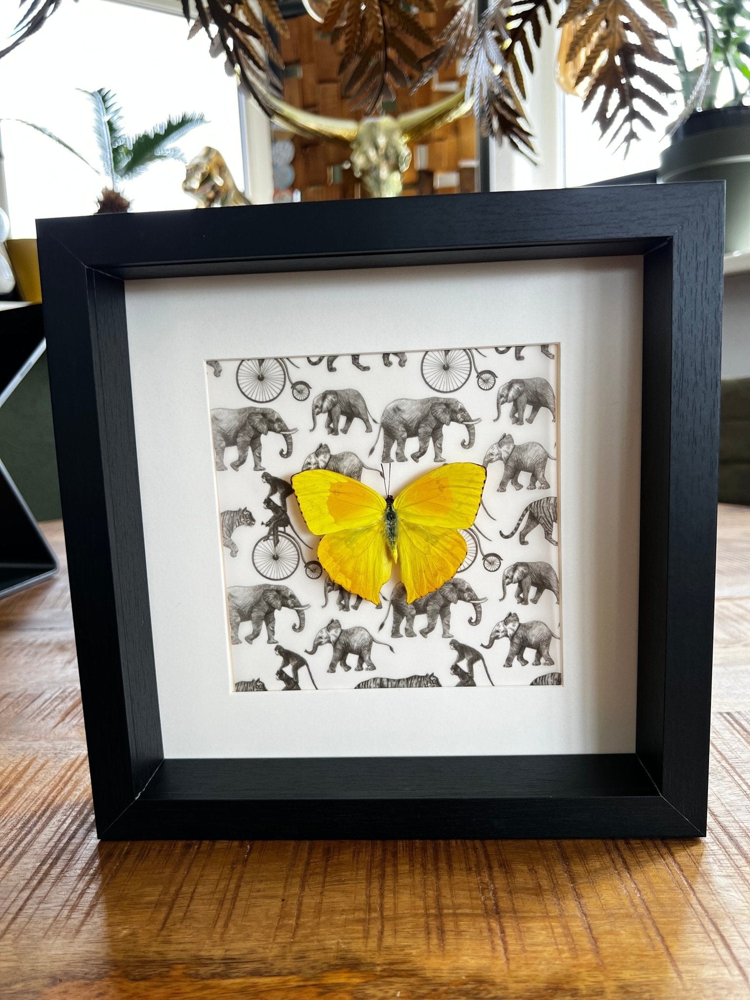 „Phoebis Philea“ als Druck in einem Rahmen von KEY LIME STORE