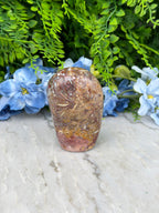 A rock with a unique pattern rests on a white surface, surrounded by lush green foliage and delicate blue flowers.