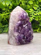 A large, clear crystal formation of amethyst, a purple gemstone, is the central focus of the image. The crystal is surrounded by a lush, green plant backdrop, creating a serene and natural setting.