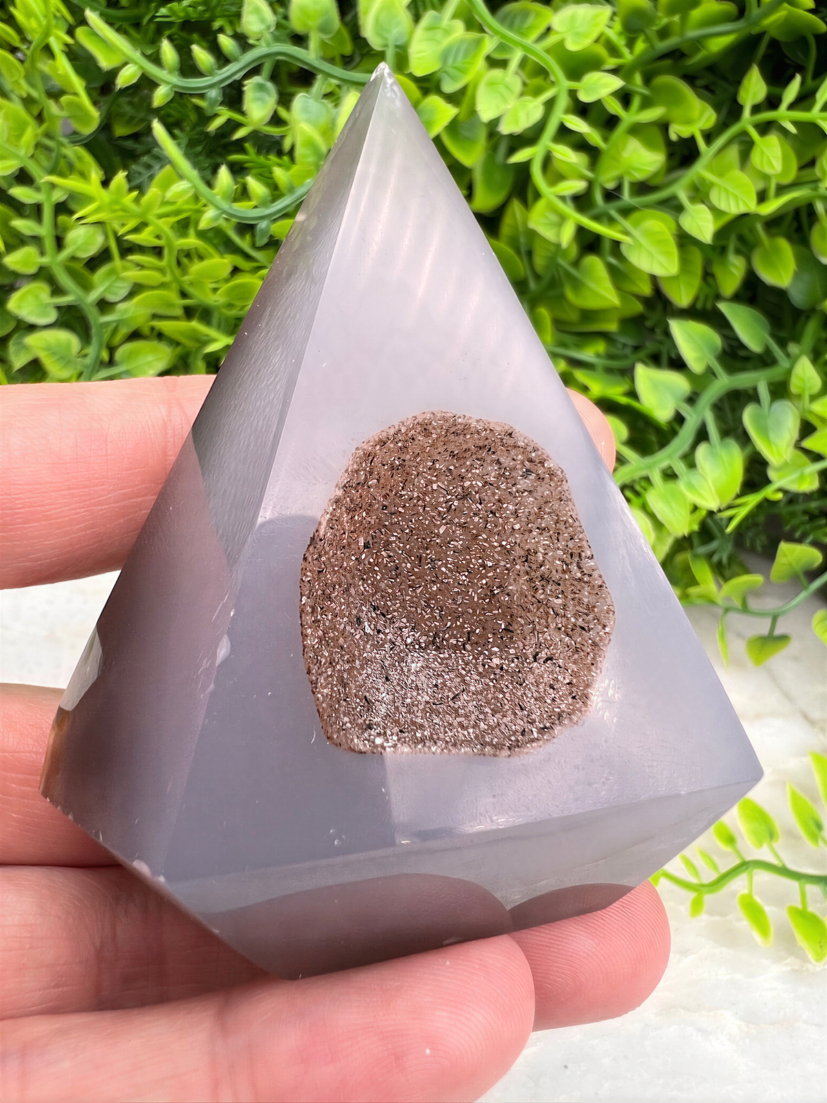 A hand is holding a triangular, gray-colored object with a brown, speckled surface, set against a background of green foliage.