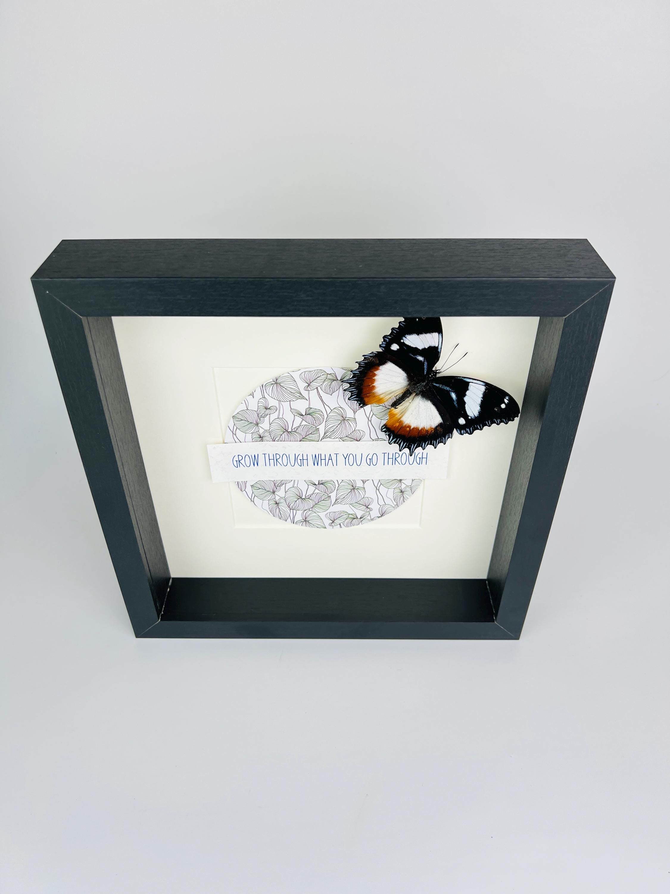 Hypolimnas Dexithea met tekst in lijst