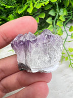 Amethist cluster (3 cm) by KEY LIME STORE