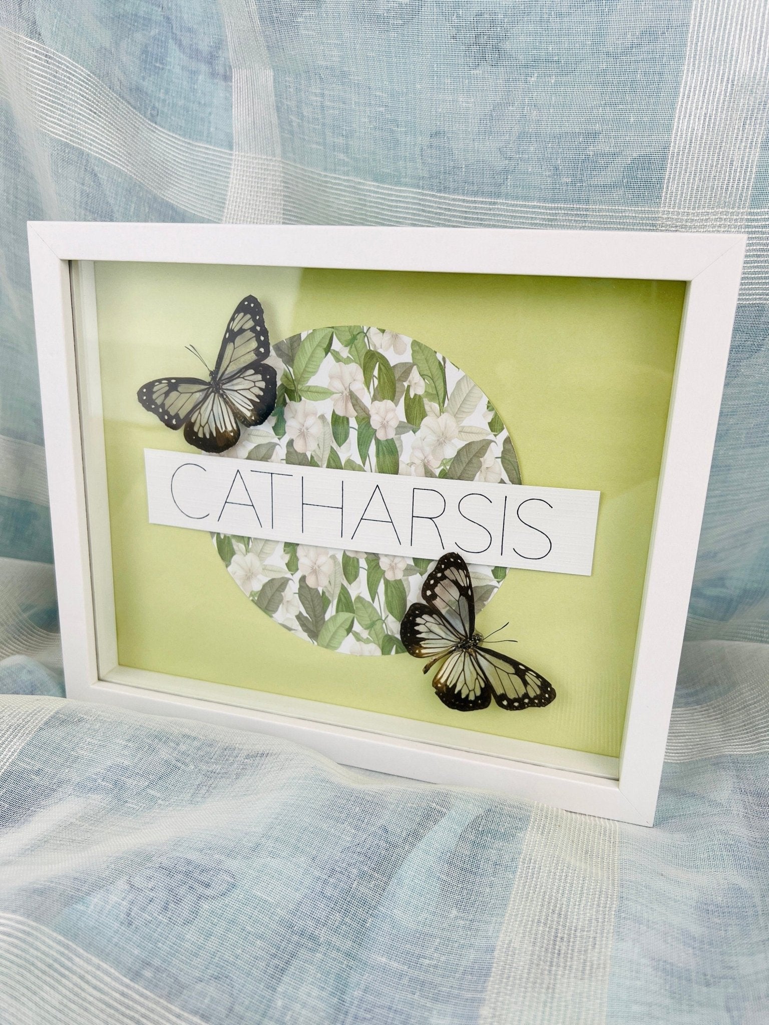 „Parantica Vitrina“ auf Catharsis-Druck, gerahmt von KEY LIME STORE