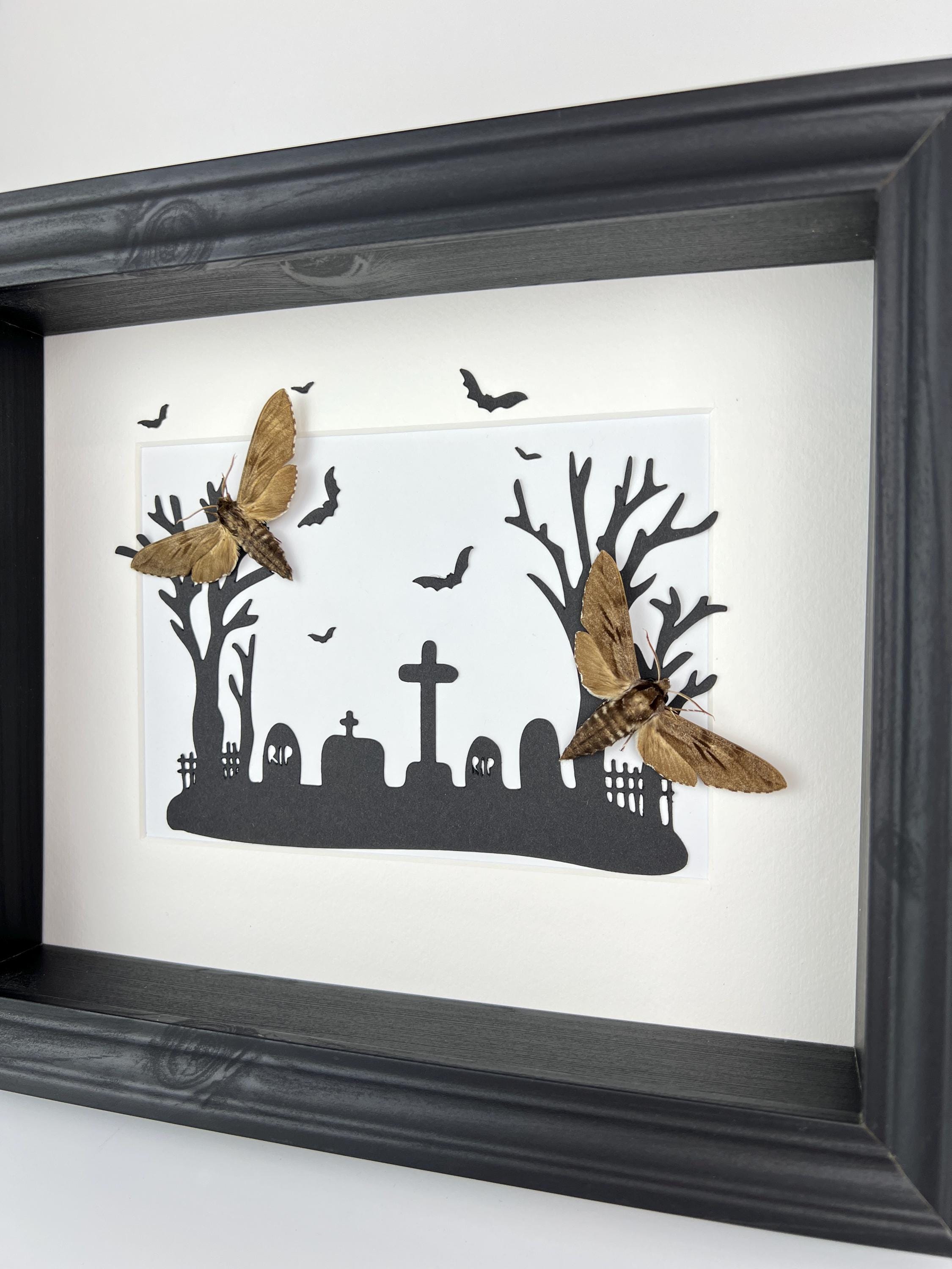 Sphinx Ligustri auf Halloween-Druck im Rahmen