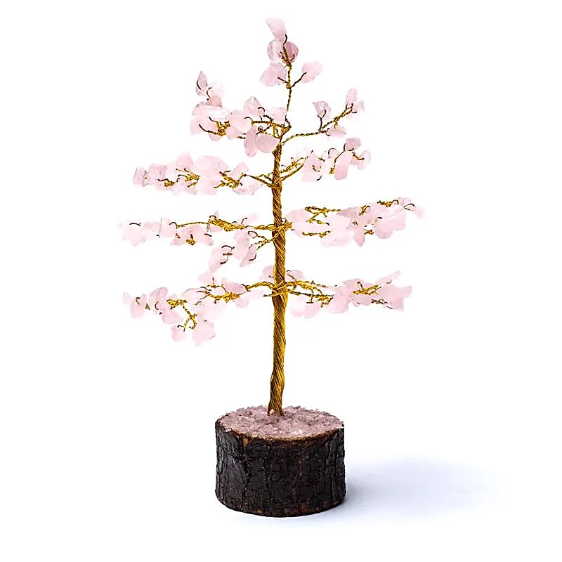Rozenkwarts edelsteenboom (±18 cm)