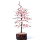 Rozenkwarts edelsteenboom (±23cm)