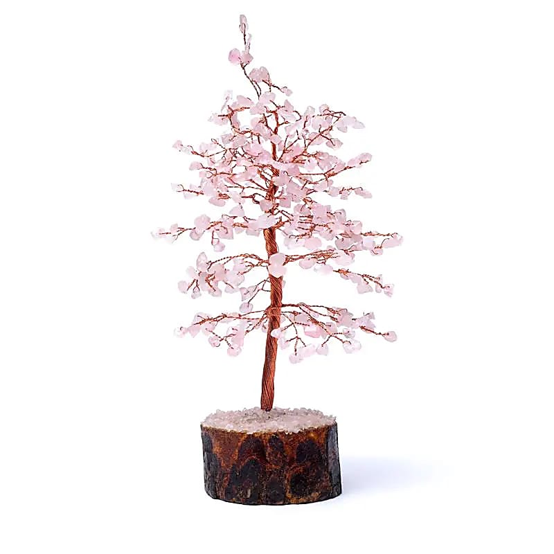 Rozenkwarts edelsteenboom (±23cm)