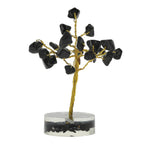 Edelsteenboom Zwarte Toermalijn (8 cm)