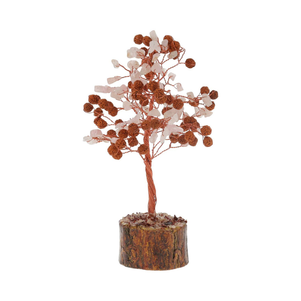rozenkwarts edelsteenboom, Rudraksha (18 cm)